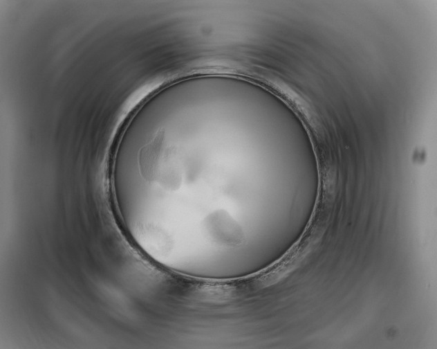 X0000100471466200806131116