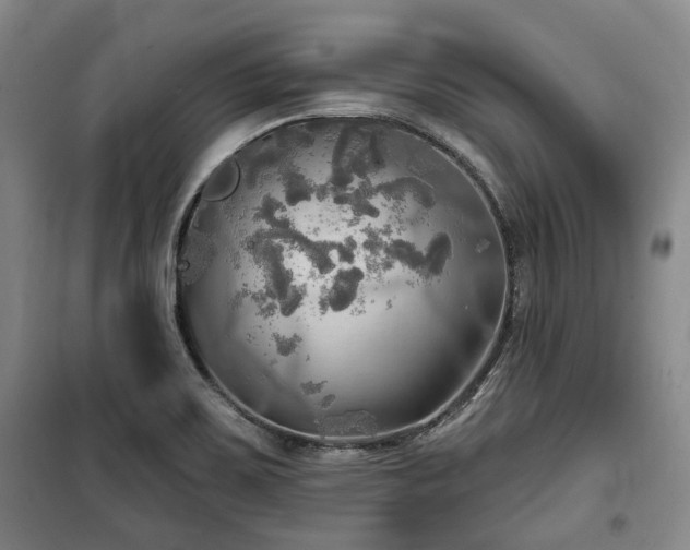 X0000100471467200806131116