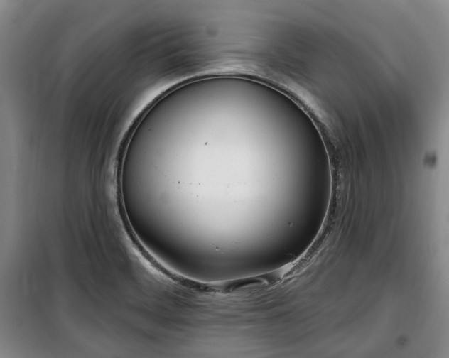 X0000100471468200806131116