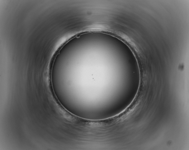 X0000100471469200806131116