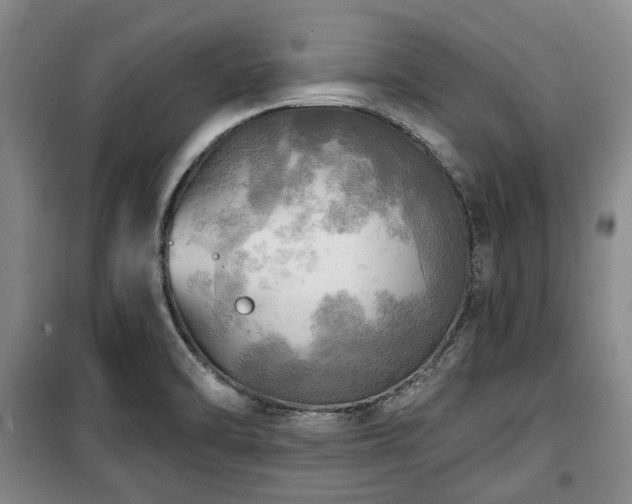 X0000100471470200806131116