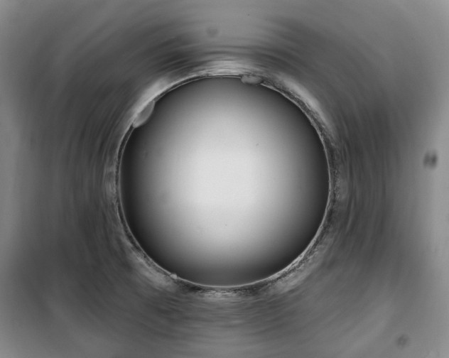 X0000100471473200806131116