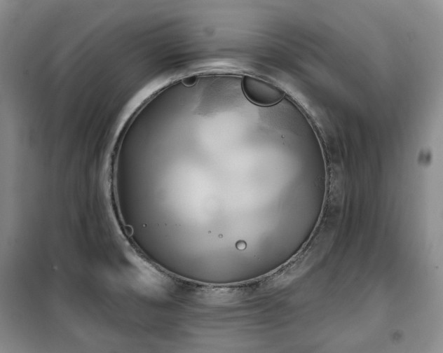 X0000100471474200806131116