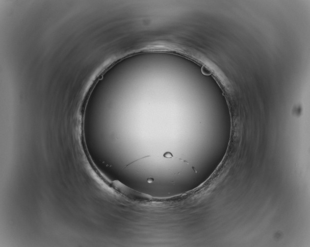 X0000100471476200806131116
