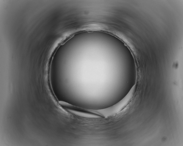 X0000100471477200806131116