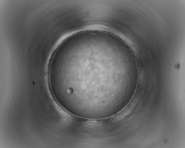 X0000100471478200806131116