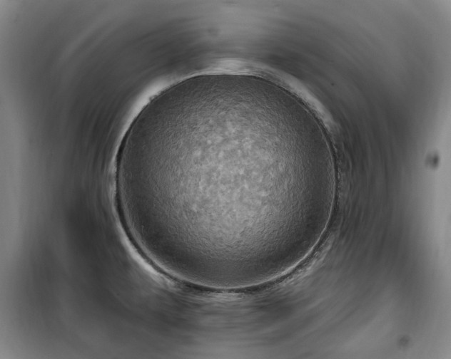 X0000100471479200806131116
