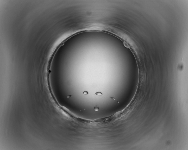 X0000100471480200806131116