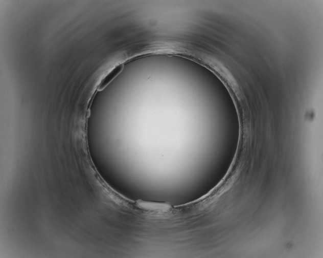 X0000100471481200806131116