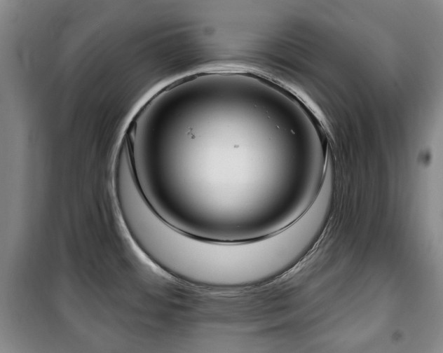 X0000100471484200806131116