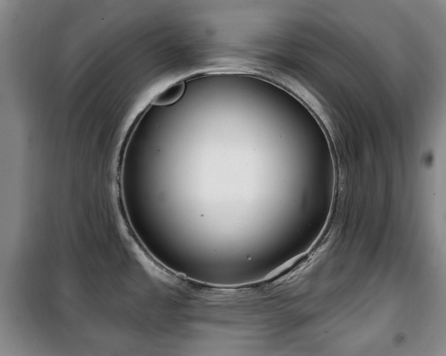X0000100471485200806131116