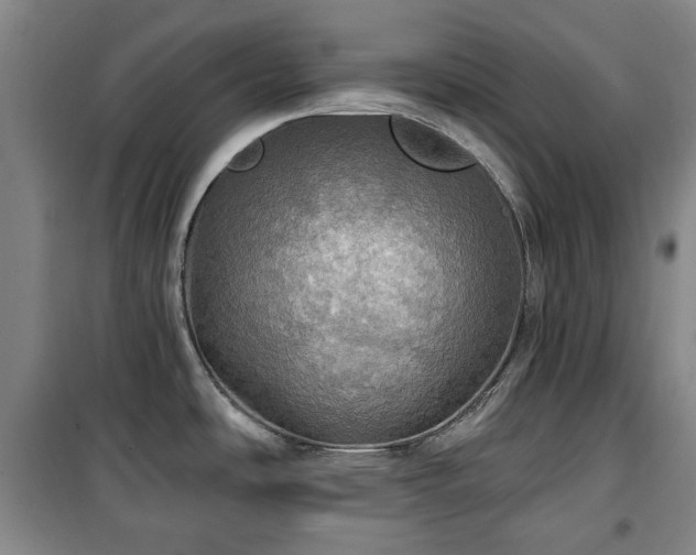 X0000100471486200806131116