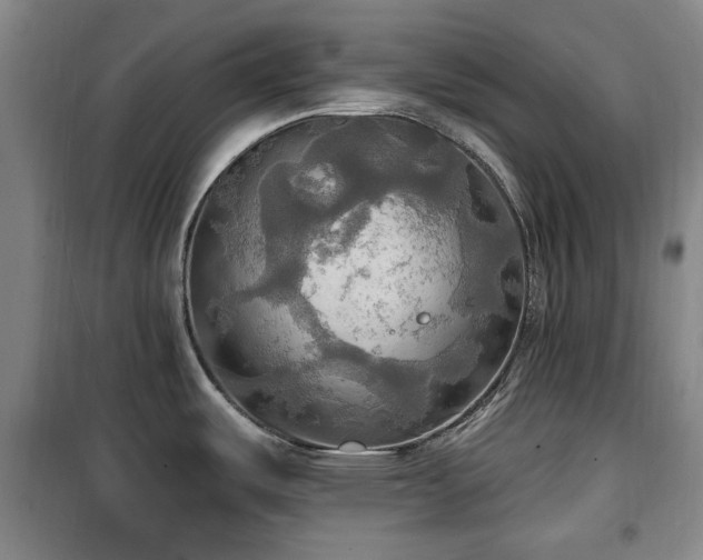 X0000100471487200806131116