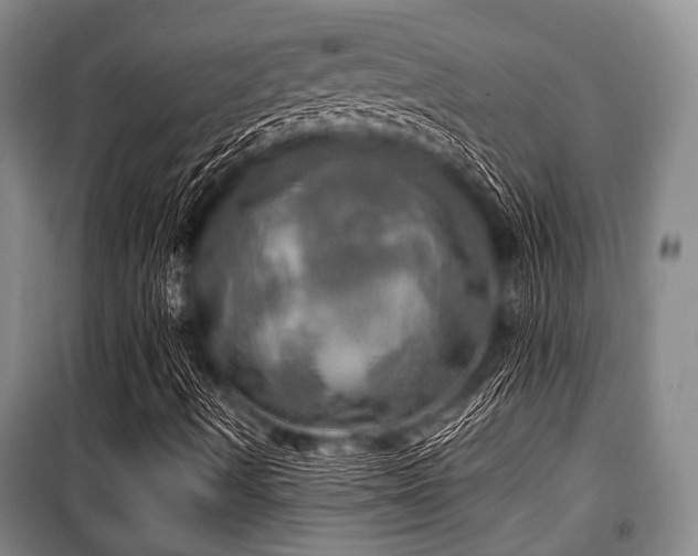 X0000100471490200806131116
