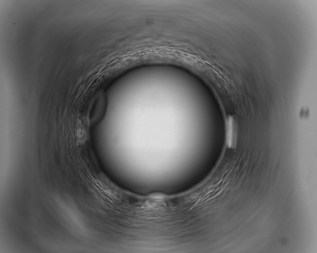 X0000100471491200806131116