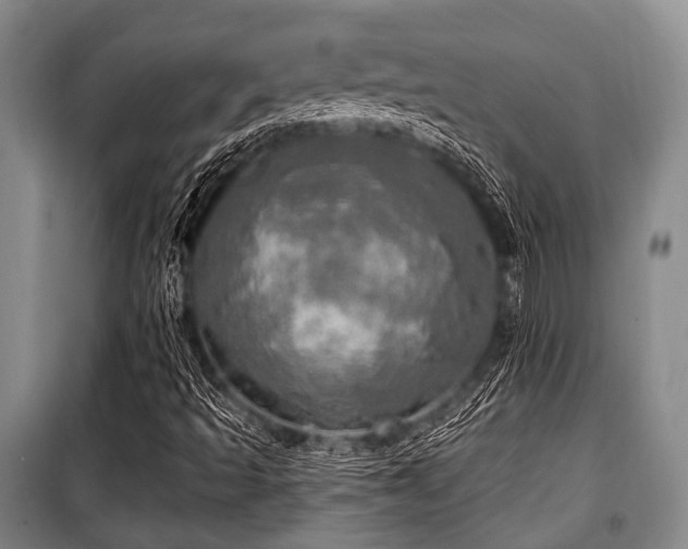 X0000100471493200806131116