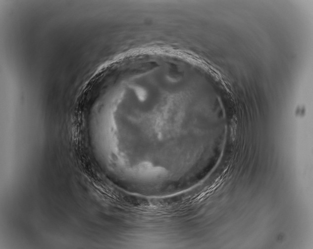 X0000100471494200806131116
