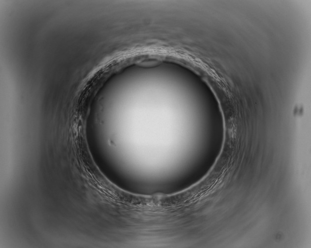 X0000100471495200806131116