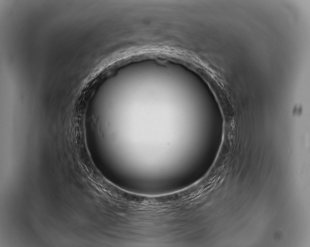 X0000100471496200806131116