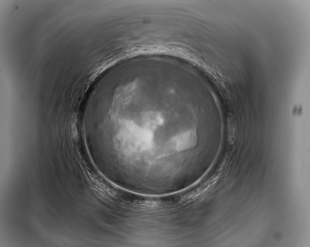 X0000100471497200806131116