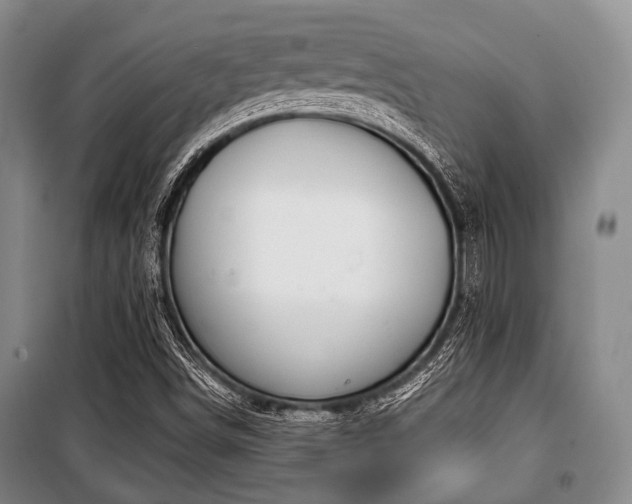 X0000100471498200806131116