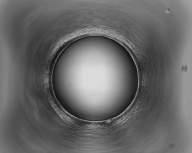 X0000100471499200806131116