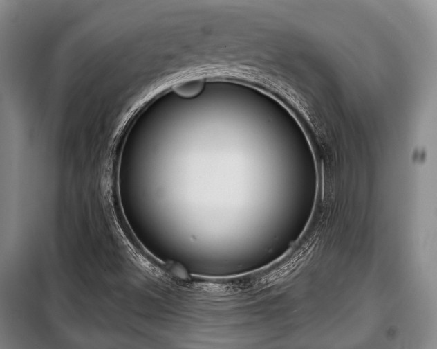 X0000100471500200806131116