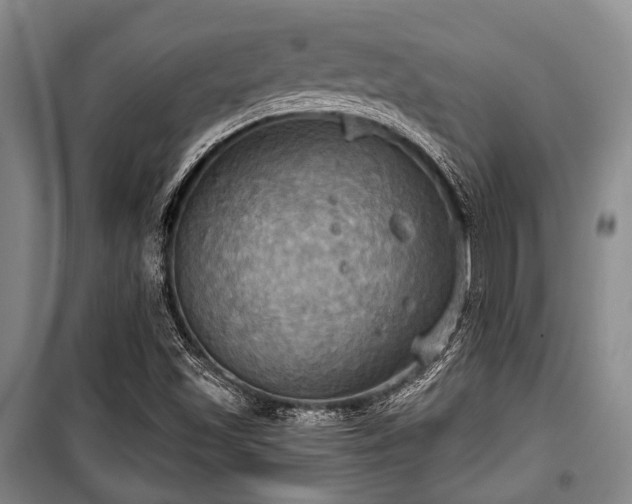 X0000100471501200806131116
