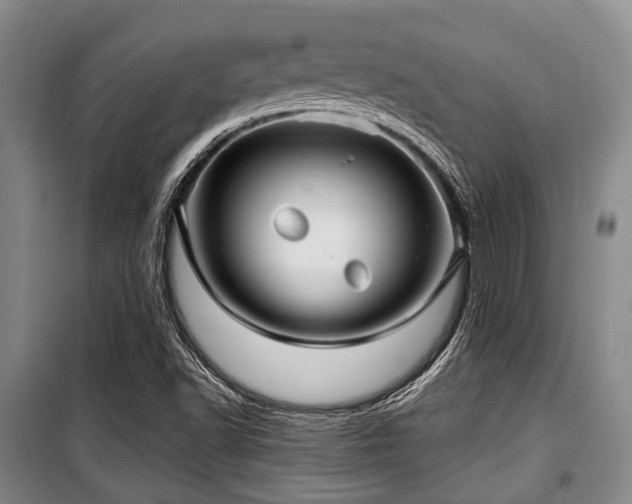 X0000100471502200806131116