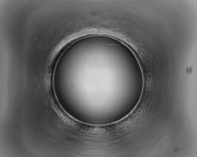 X0000100471503200806131116