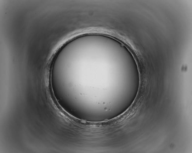X0000100471504200806131116