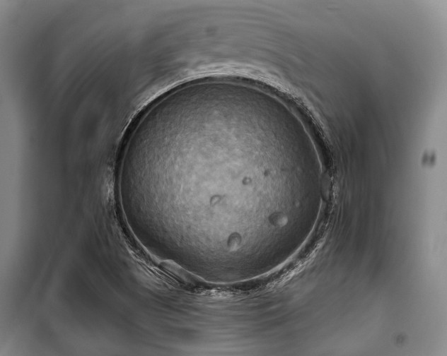 X0000100471505200806131116