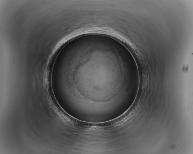 X0000100471506200806131116