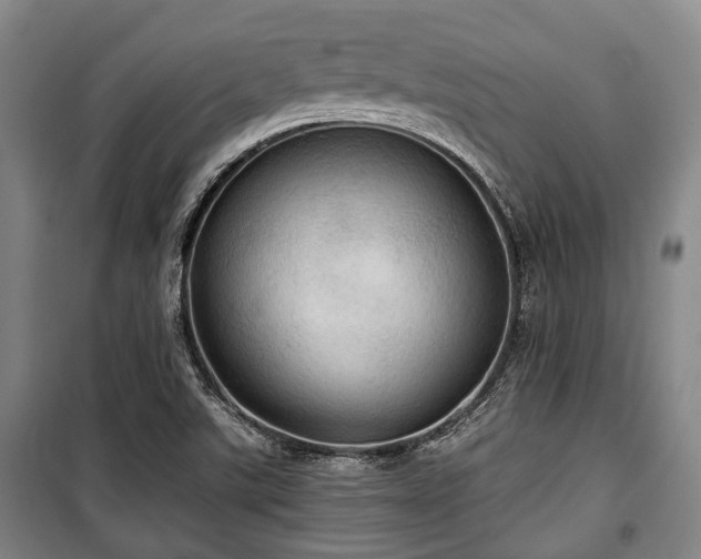 X0000100471507200806131116