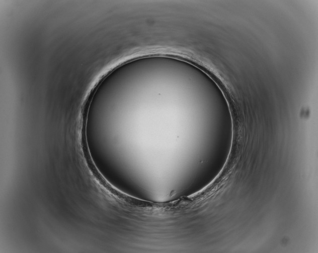 X0000100471508200806131116