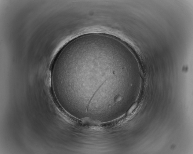 X0000100471509200806131116