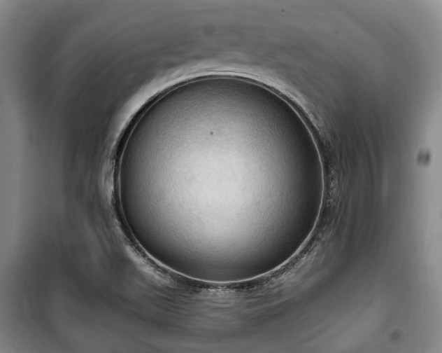 X0000100471511200806131116