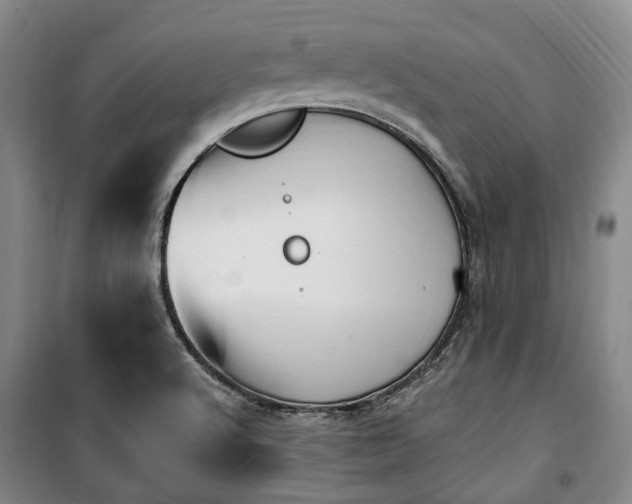 X0000100471512200806131116