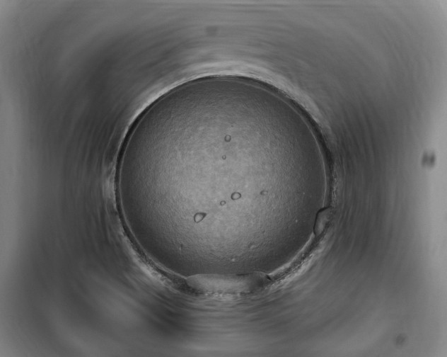 X0000100471513200806131116