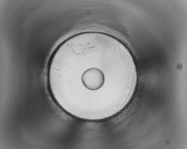 X0000100471514200806131116