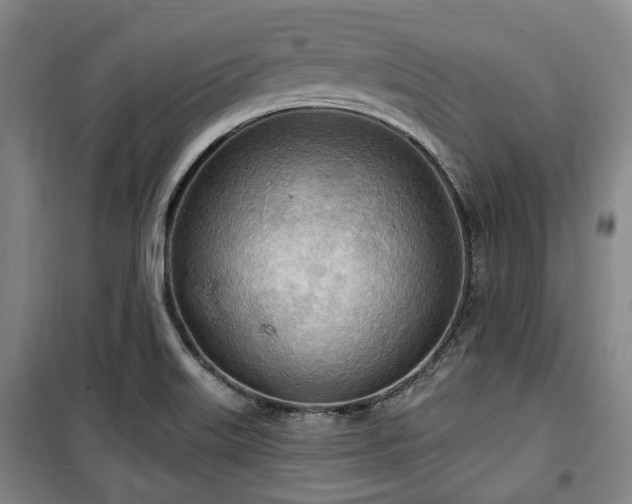 X0000100471515200806131116