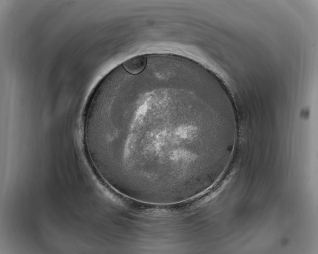 X0000100471517200806131116