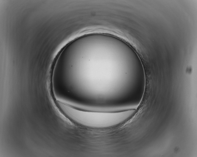 X0000100471518200806131116