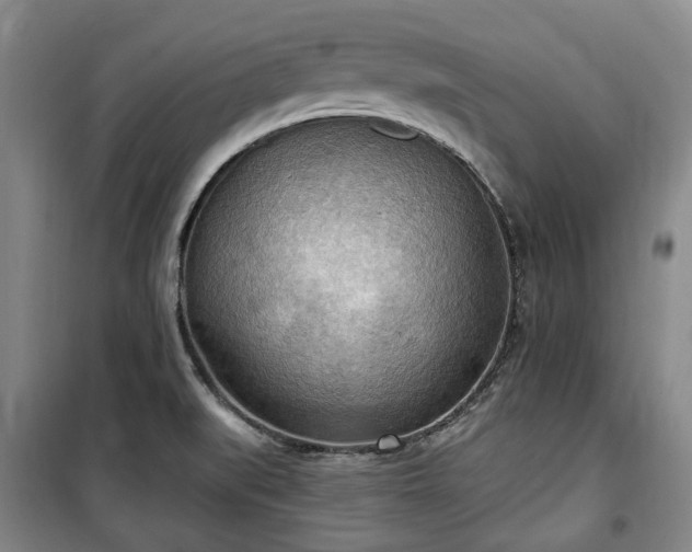 X0000100471519200806131116