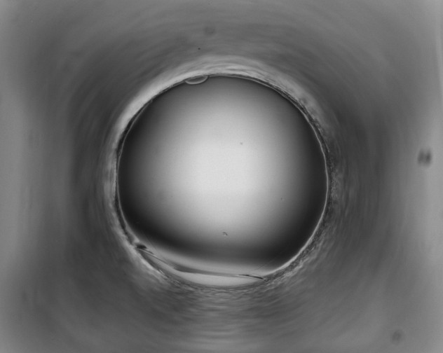X0000100471520200806131116