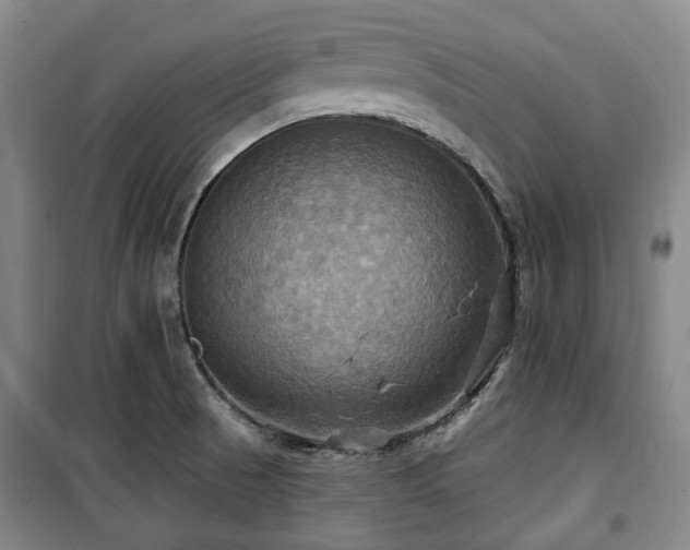 X0000100471521200806131116