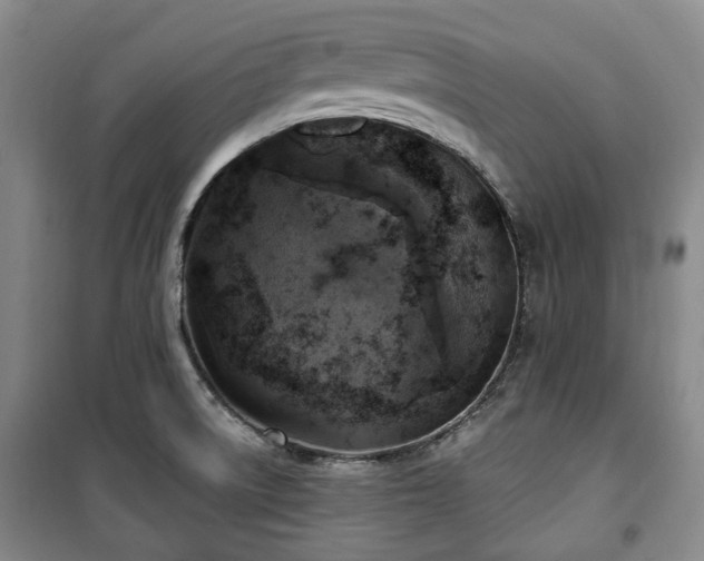X0000100471522200806131116