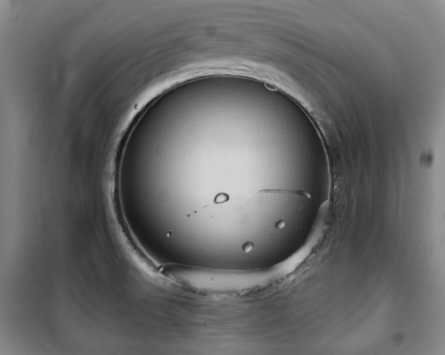 X0000100471523200806131116