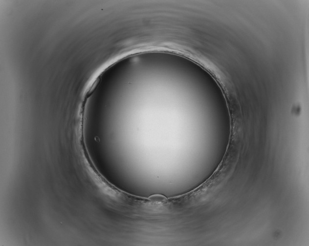 X0000100471524200806131116