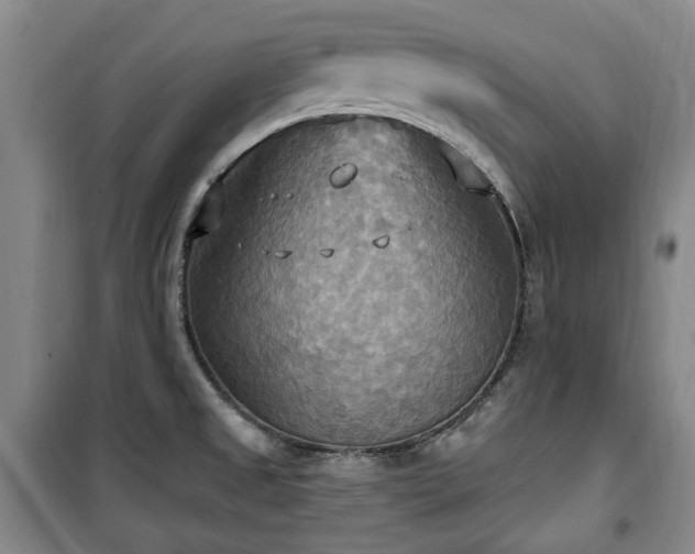 X0000100471525200806131116